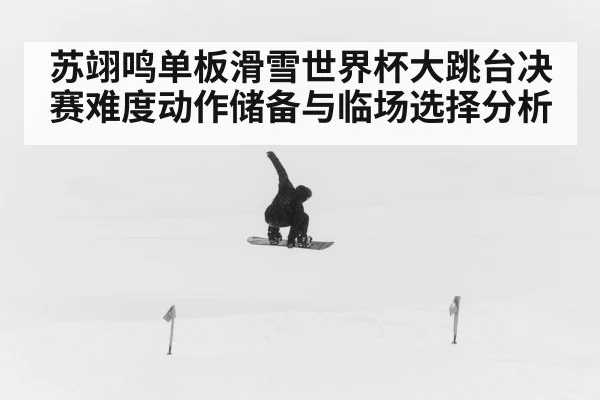 苏翊鸣单板滑雪世界杯大跳台决赛难度动作储备与临场选择分析 | qyg